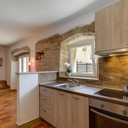 Zoro With A Lovely Garden And A Private Pool In The Middle Of Istria Pazin